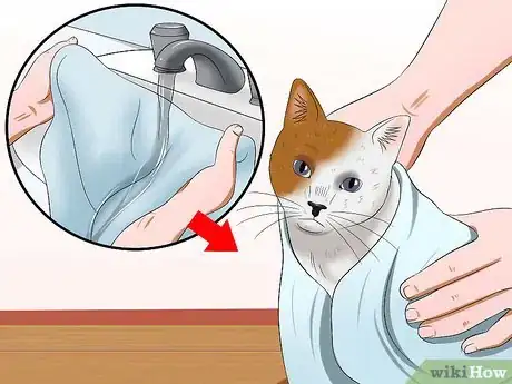 Image titled Bathe Your Cat With a Damp Towel Step 12