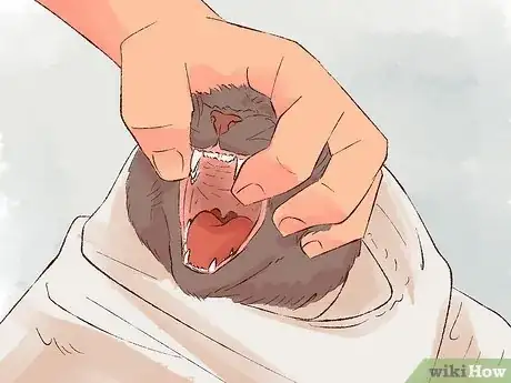 Image titled Give Cats Liquid Medicine Step 3