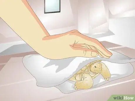 Image titled Bathe a Tortoise Step 10
