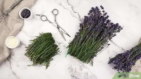 Image titled Make Lavender Oil Step 1