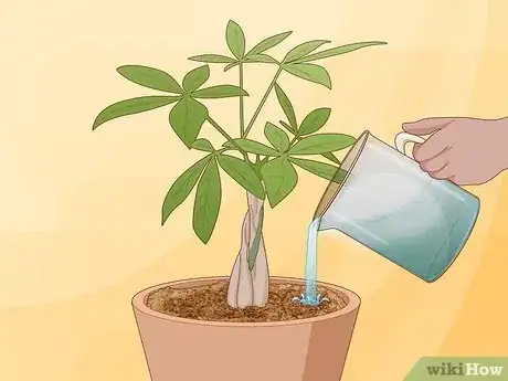 Image titled Plant Money Trees Step 16