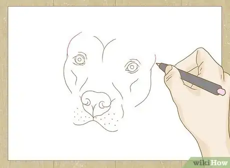 Image titled Draw a Pitbull Step 18