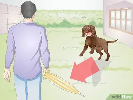 Image titled Apply a Gauze Muzzle to a Dog Step 13