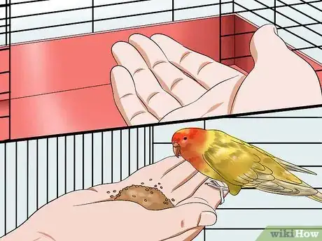 Image titled Gain Your Parakeet's Trust Step 4