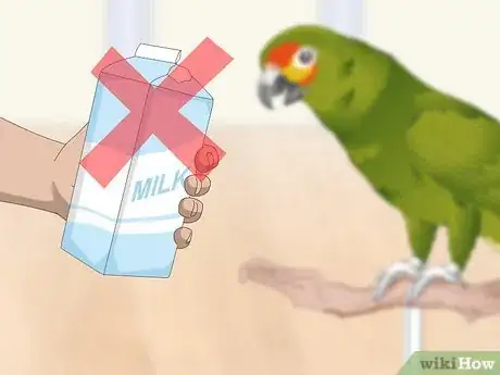 Image titled Feed an Amazon Parrot Step 7
