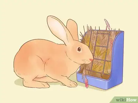 Image titled Feed Your Rabbit with Pellets Step 15