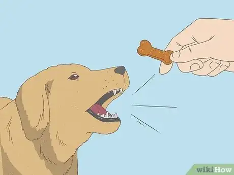 Image titled Teach Your Dog to Speak Step 4