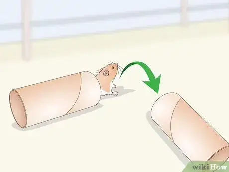 Image titled Teach a Hamster Tricks Step 10