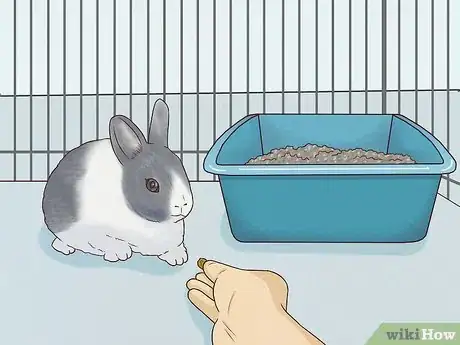 Image titled Use a Litter Box for a Rabbit Step 6