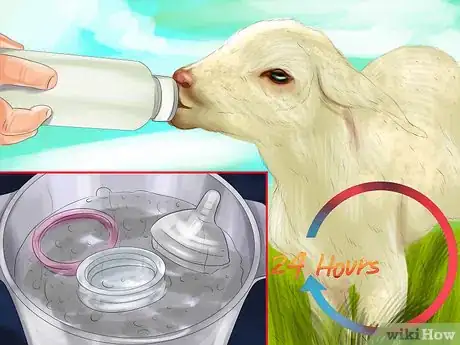 Image titled Bottle Feed a Baby Lamb Step 5