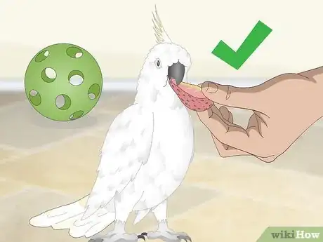 Image titled Bond with a Cockatoo Step 17