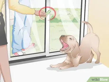 Image titled Teach Your Older Dog Basic Commands Step 5