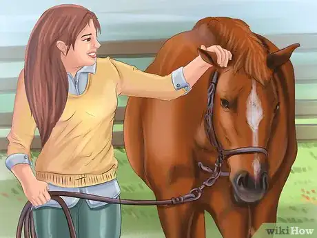 Image titled Get Your Horse to Trust and Respect You Step 20