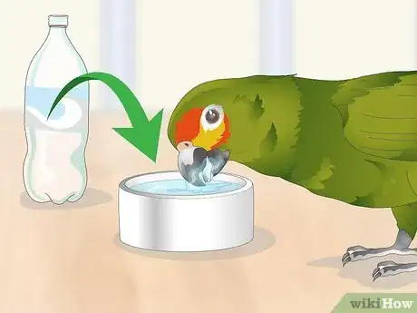 Image titled Feed an Amazon Parrot Step 3