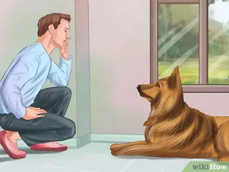 Image titled Train Your Service Dog Without a Professional Trainer Step 11
