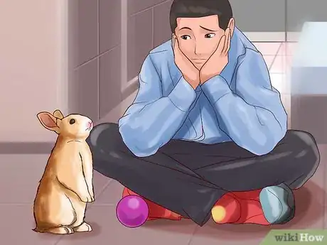 Image titled Play With Your Rabbit Step 6