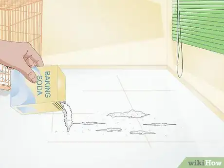 Image titled Clean up After Your Guinea Pig Step 5