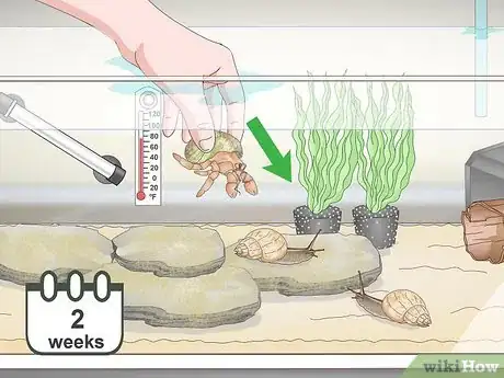 Image titled Set up a Marine Reef Aquarium Step 12