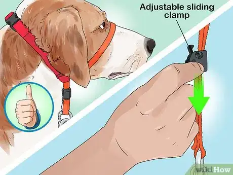 Image titled Put a Gentle Leader on a Dog Step 6