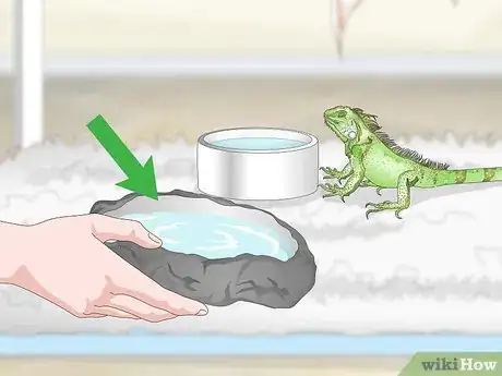 Image titled Care for an Iguana Step 15