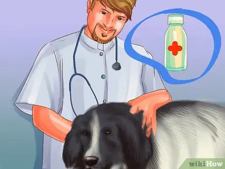 Image titled Buy Acepromazine for Dogs Step 2