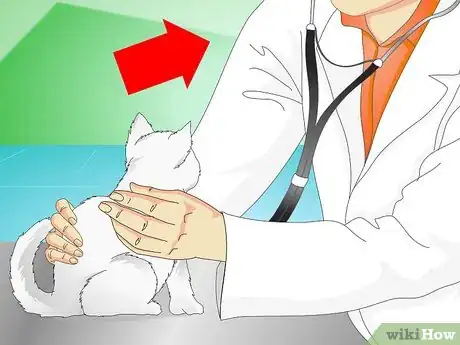 Image titled Stop Kittens from Crying Step 4