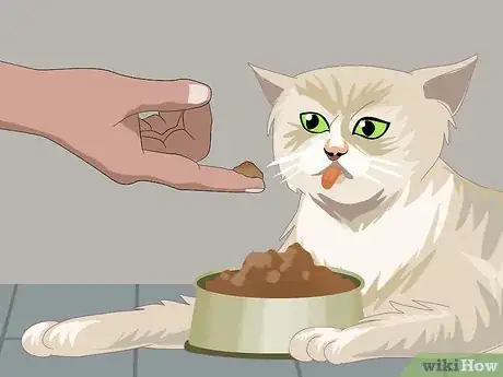 Image titled Treat Feline Upper Respiratory Illness Step 11