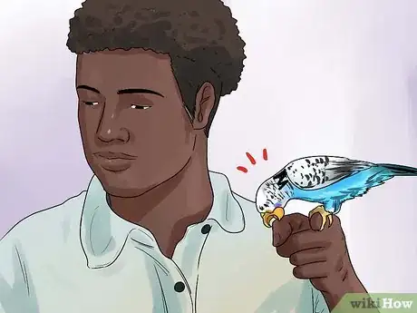 Image titled Stop a Budgie from Biting Step 2