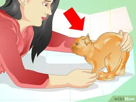 Image titled Prevent a Cat from Spraying Step 2