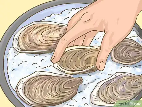 Image titled Buy Fresh Oysters Step 13