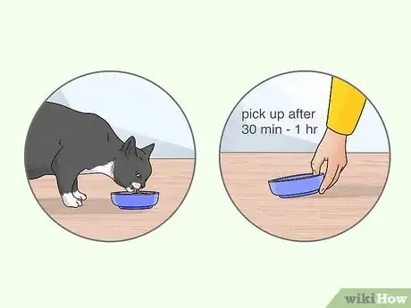 Image titled Feed an Overweight Cat Step 10