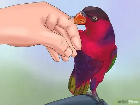 Image titled Train a Bird to Step on Your Finger Step 6