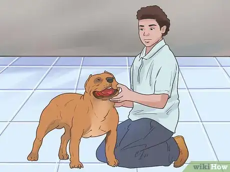 Image titled House Train Your Dog in Ten Days Step 11
