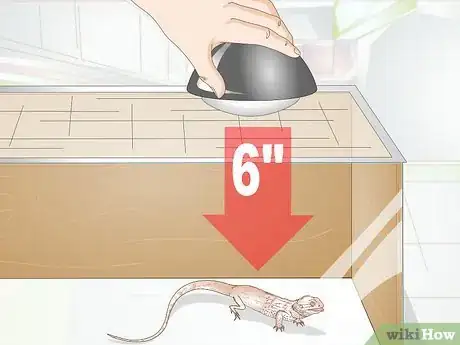 Image titled Set Up a Tank for Bearded Dragons Step 7