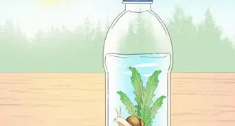 Create an Ecosystem in a Bottle