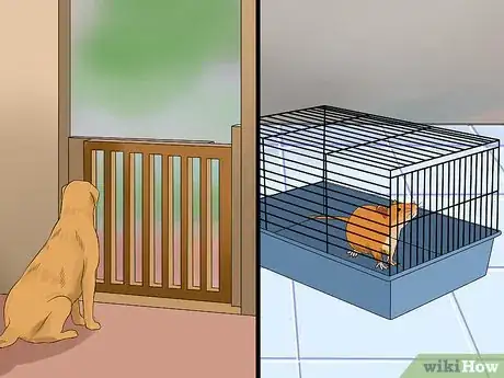 Image titled Keep Pet Rats Safe from Dogs Step 1