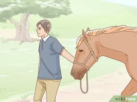 Image titled Calm Your Horse Down Quickly Step 10