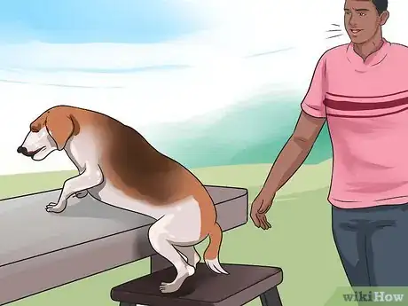 Image titled Stop a Dog from Climbing up on Things Step 1