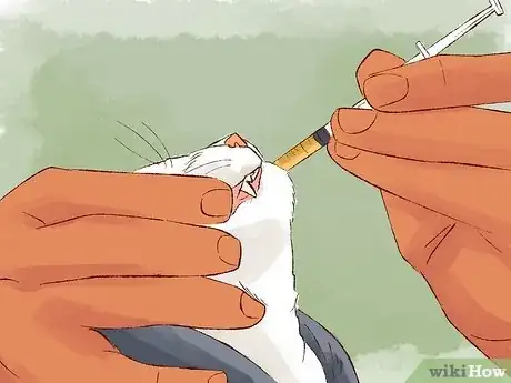 Image titled Give Cats Liquid Medicine Step 5