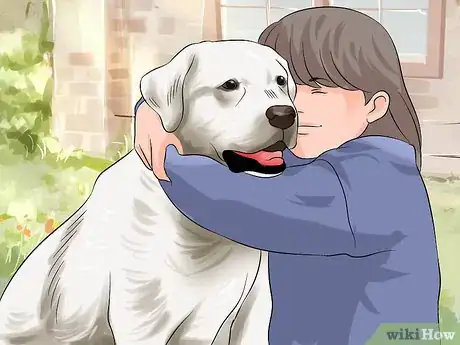 Image titled Make Your Labrador Retriever Happier Step 11