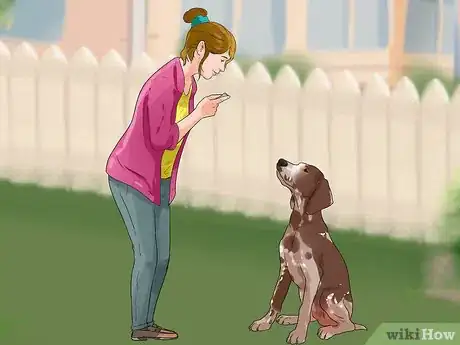 Image titled Teach Your Dog to Focus Step 5