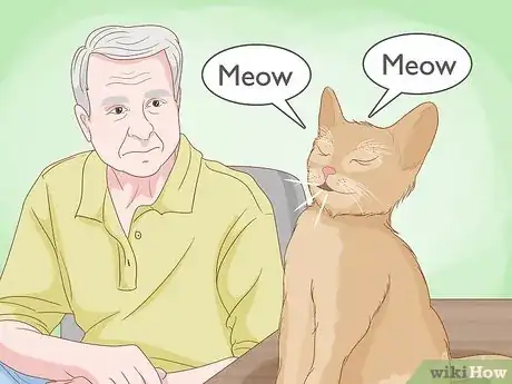 Image titled Tell if Your Cat Wants Another Cat Step 11
