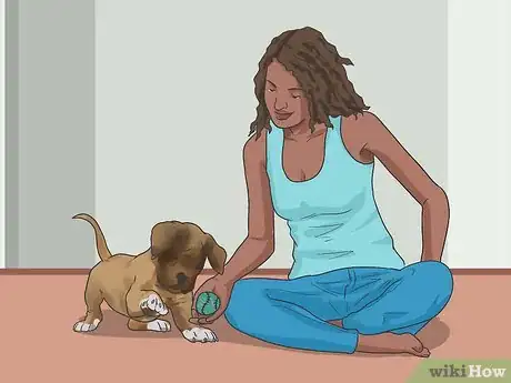 Image titled Stop a Boxer Dog from Biting Step 2