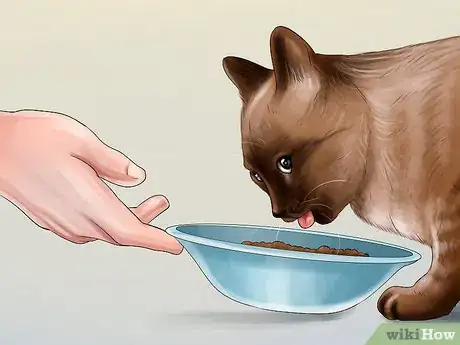 Image titled Feed a Pregnant or Nursing Cat Step 4