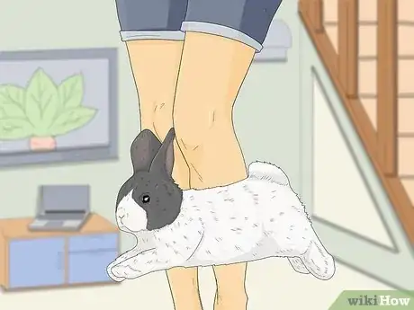 Image titled Read Bunny Body Language Step 3