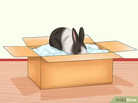 Image titled Entertain Your Rabbit Step 2
