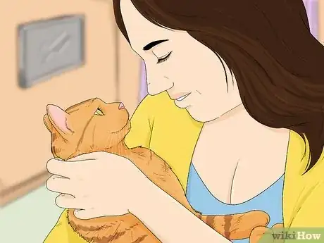 Image titled Earn a Kitten's Trust Step 3
