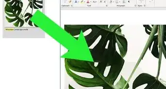 Add an Image in Word