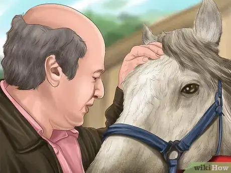 Image titled Teach Your Horse to Lie Down Step 7