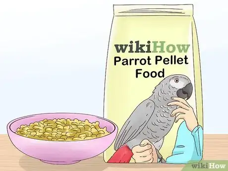 Image titled Treat Nutritional Deficiencies in African Grey Parrots Step 16